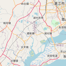 從廣東省雷州市到廣東省湛江市的距離